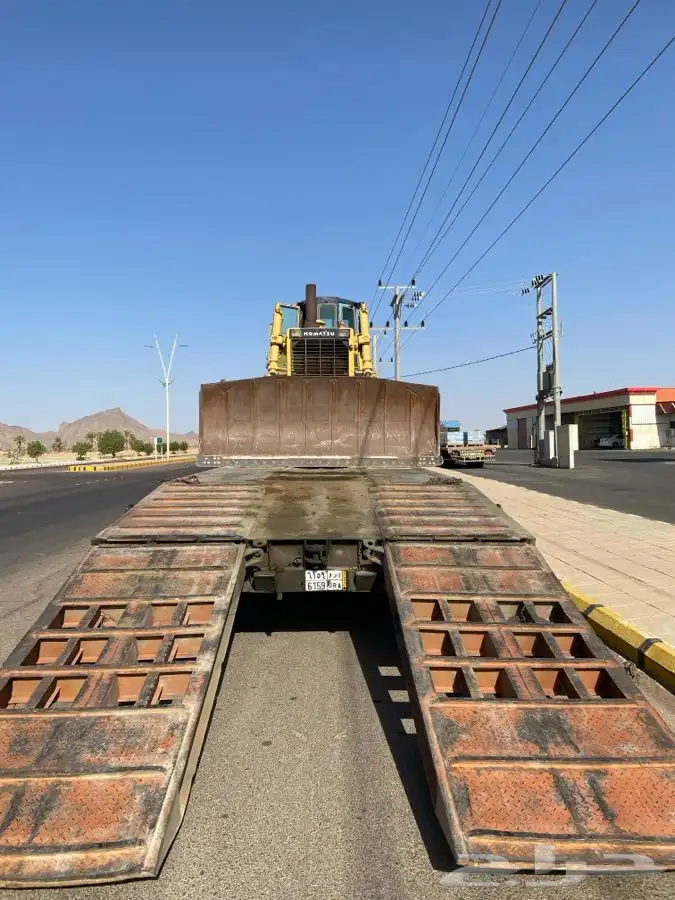 لوبد في المدينة المنورة 0