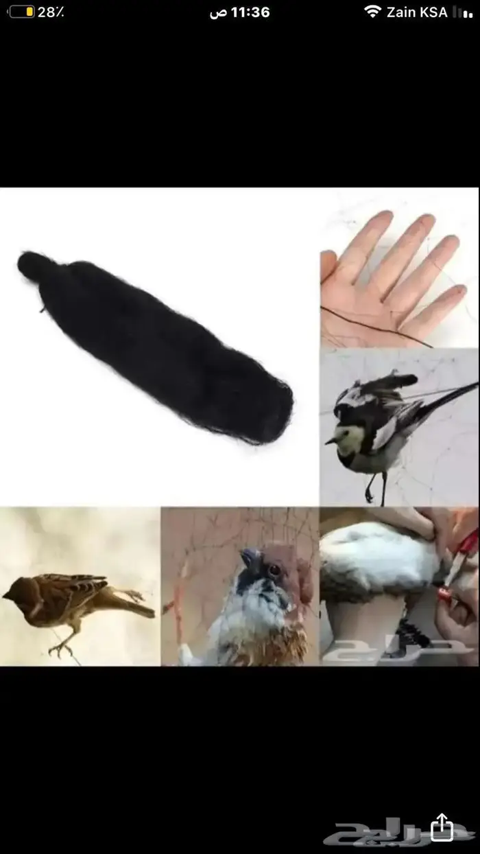 شبكة صيد هوائية 0