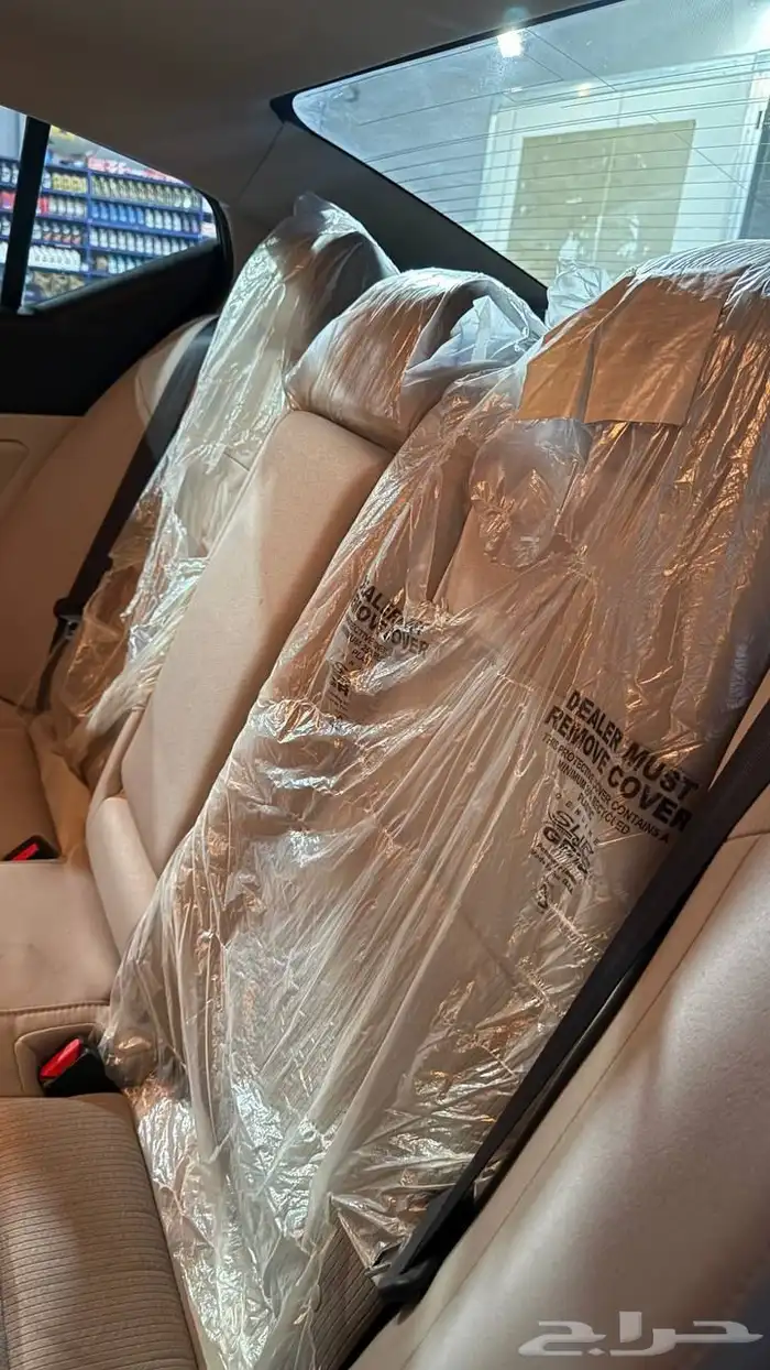 التيما 2024 7