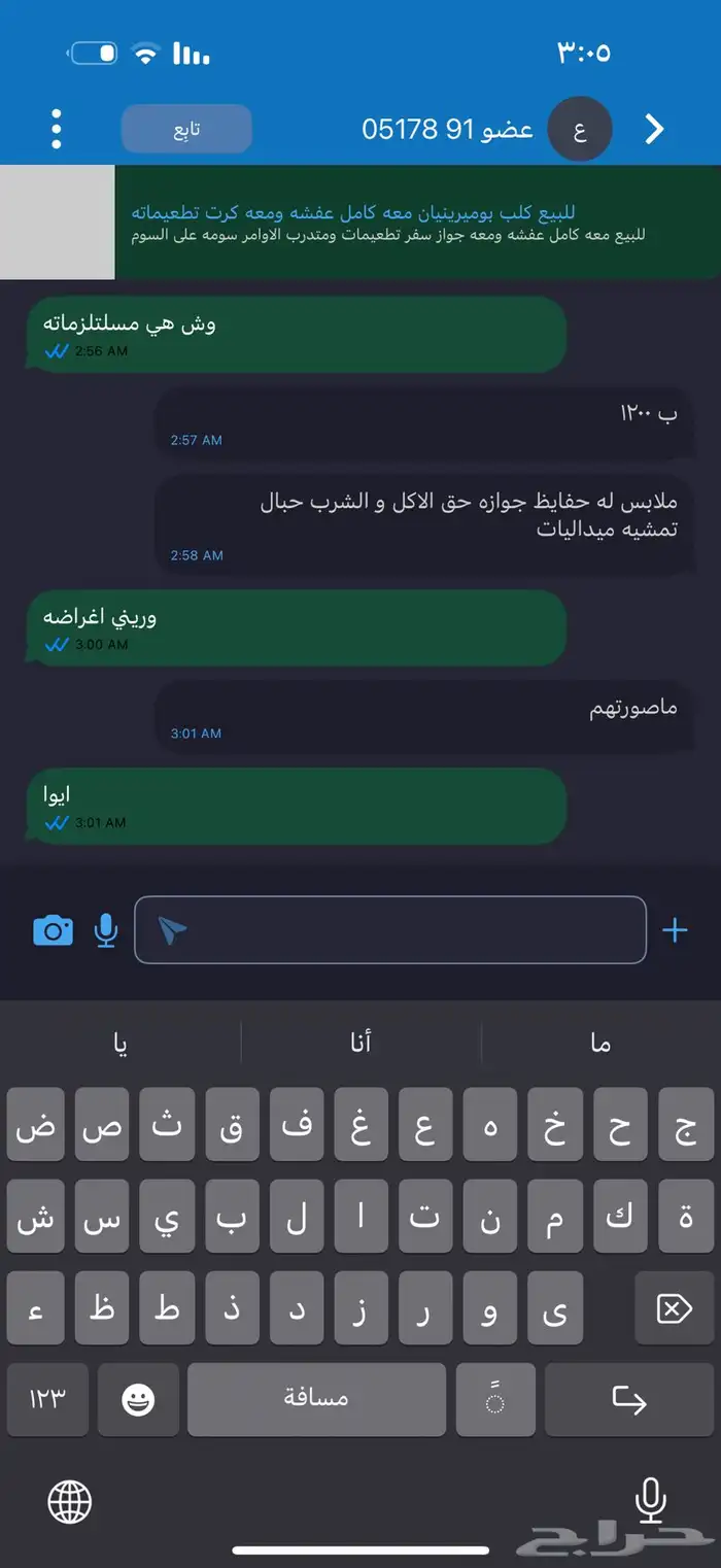 كلب 1