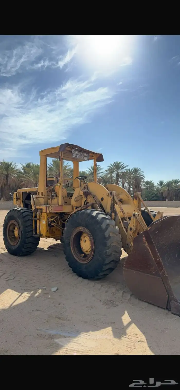 شيول للبيع 0