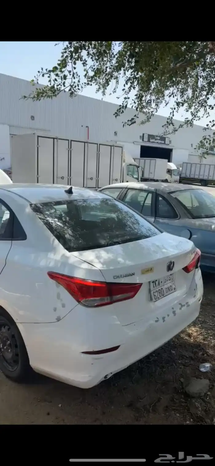 شنجان السفن 2021 4