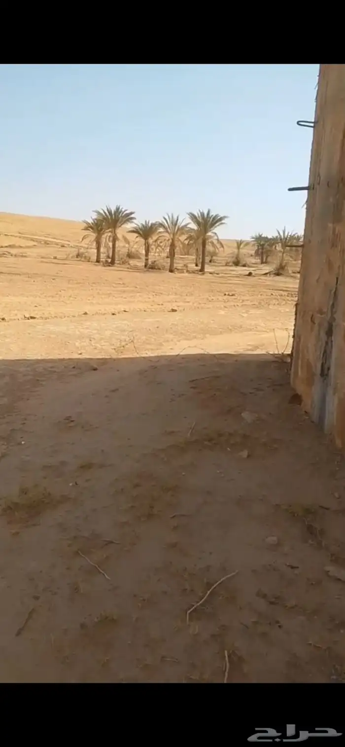 ارض للبيع في المشاعلة غرب الرياض 4