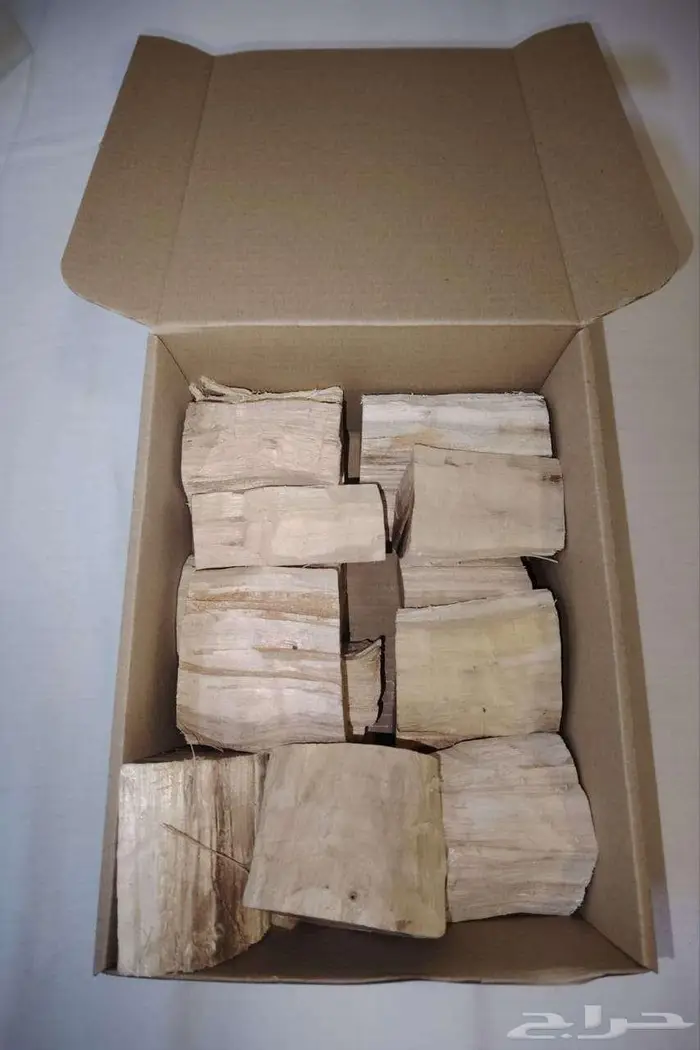 طلح سوداني الرياض - نجران 0