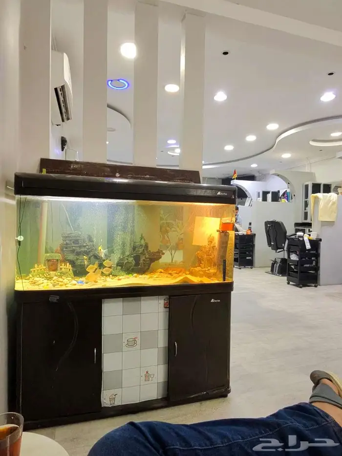 حوض من شركة sunsun المعروفة 0