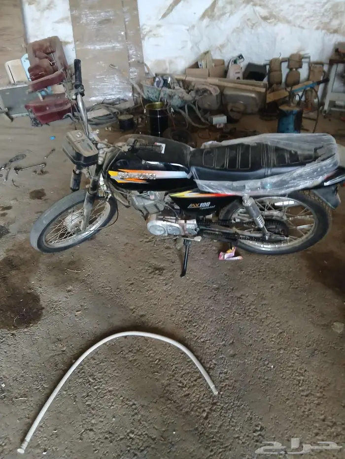 بلجرشي 1