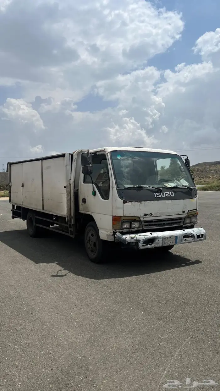 دينا ايسوزو 0