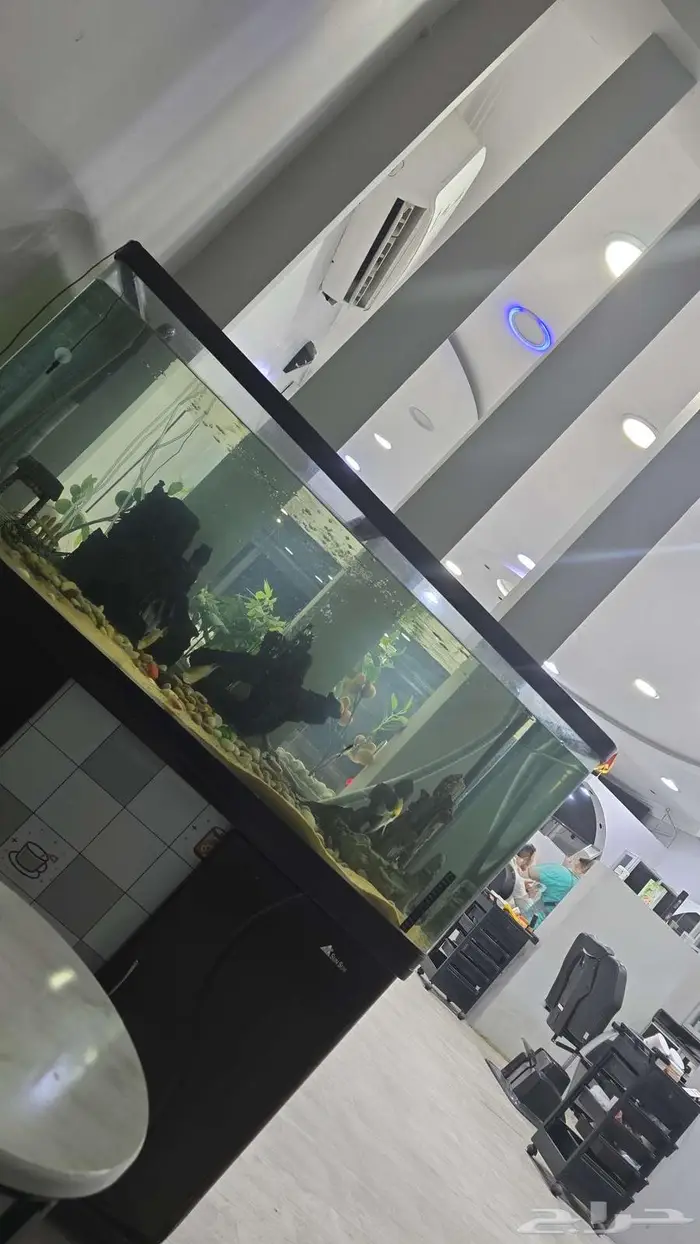 حوض من شركة sunsun المعروفة 5