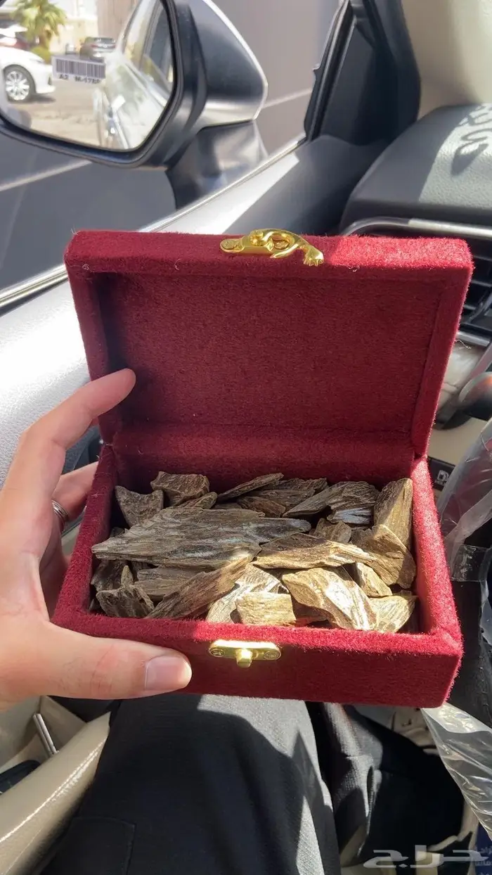 العود الملكي حياكم تبوك 95 ريال 1