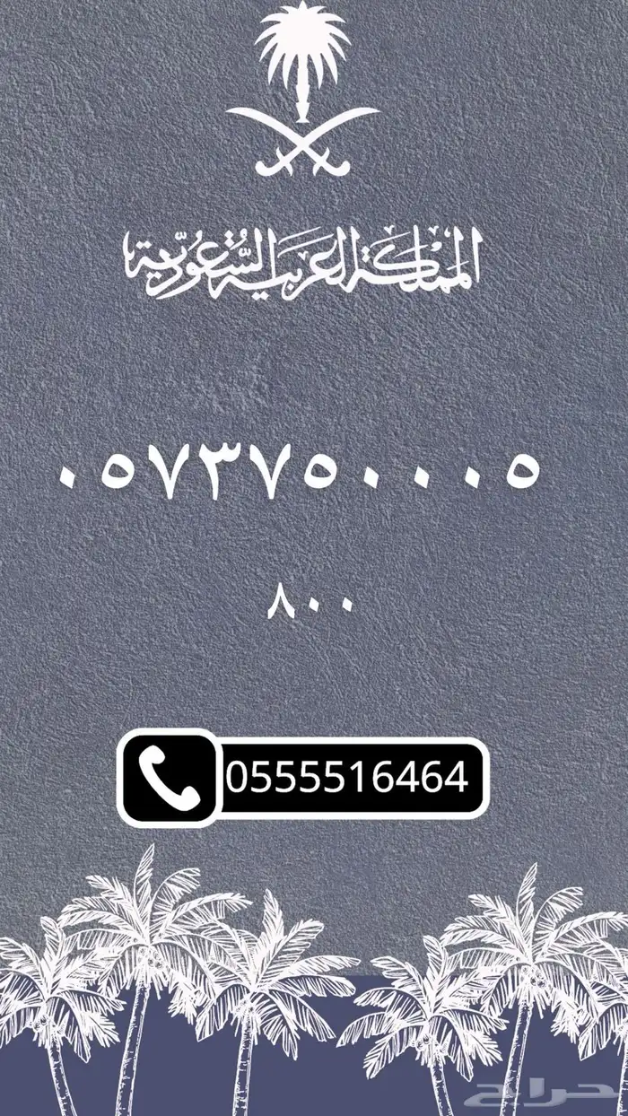 ارقام مميزه 12