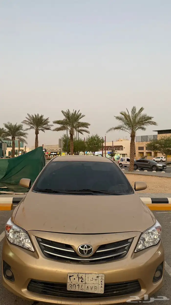 كورولا 2013 1