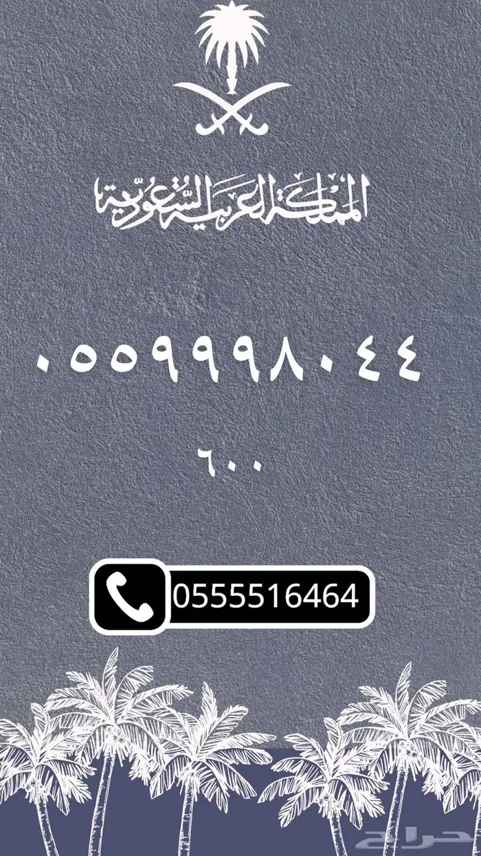 ارقام مميزه 13