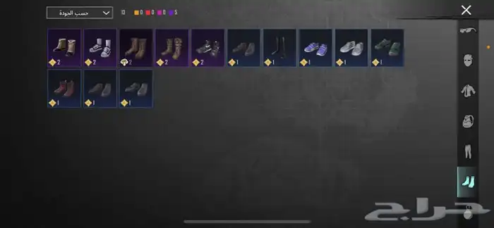 حساب ببجي فخمم 10