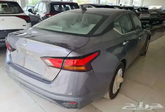 التيما استاندر 2025 2