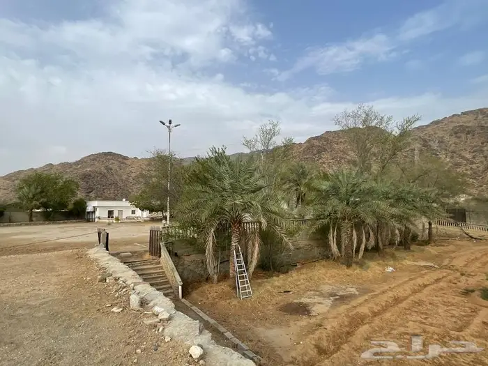 مزرعة للبيع مساحة 11 الف بارق 8