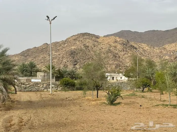 مزرعة للبيع مساحة 11 الف بارق 0