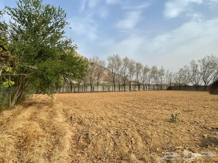 مزرعة للبيع مساحة 11 الف بارق 3