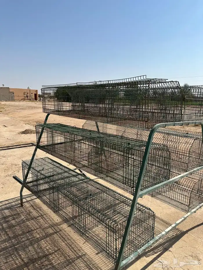 بطريات ارانب 0