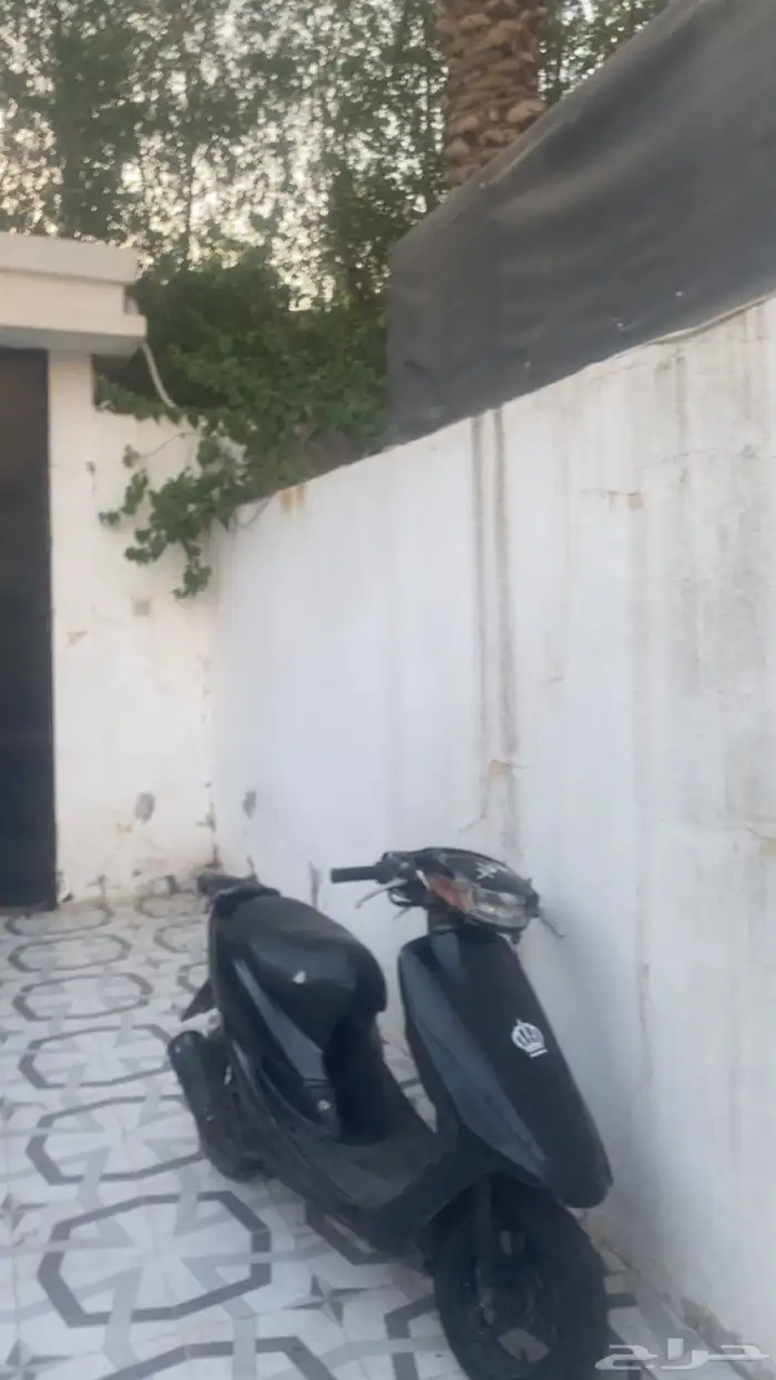 دباب بطه للبيع 2
