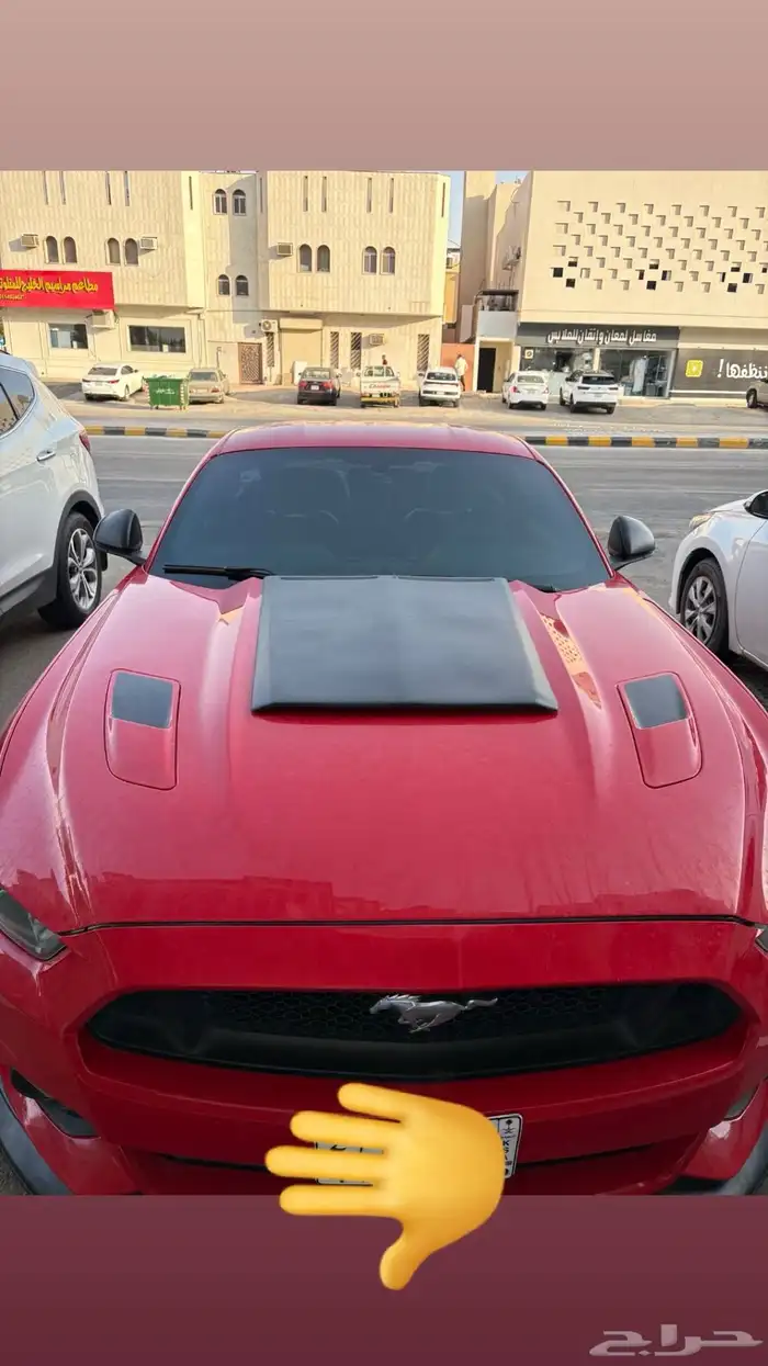 موستنج 2015 V8 1