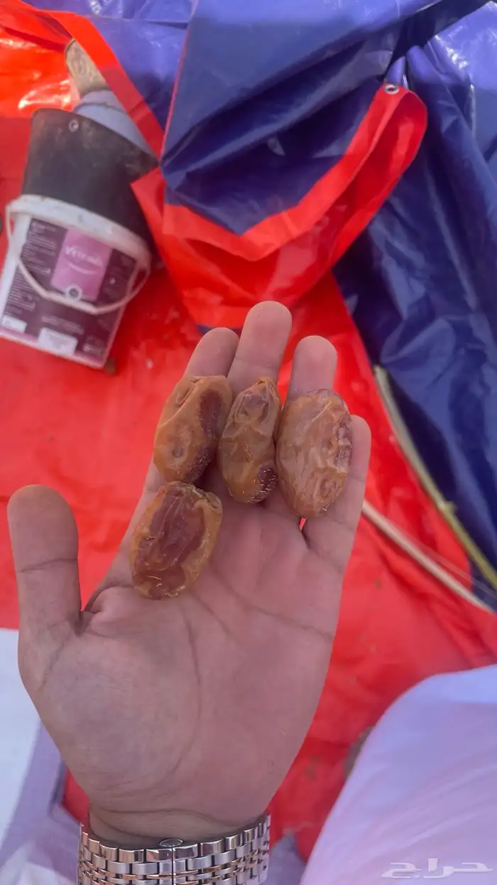 تمر خلاص اشقر جامبو كرتون 20 كيلو 0