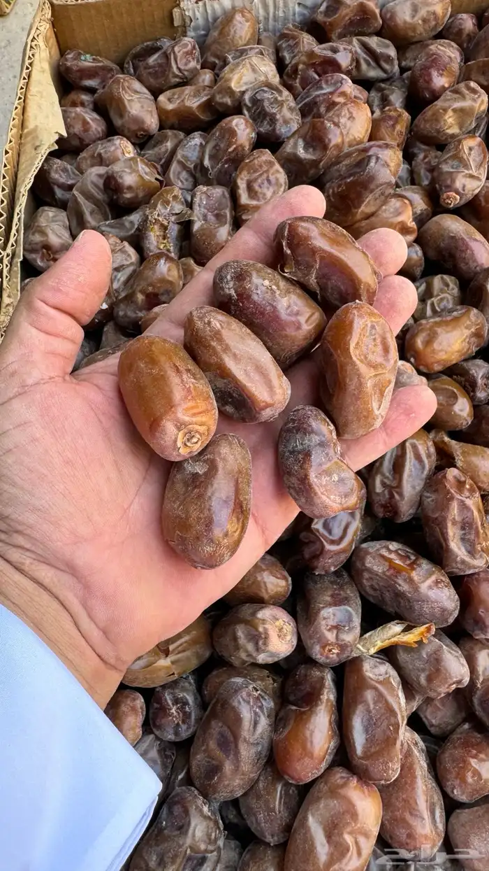تمر ناشف سري حوطة بني تميم 0