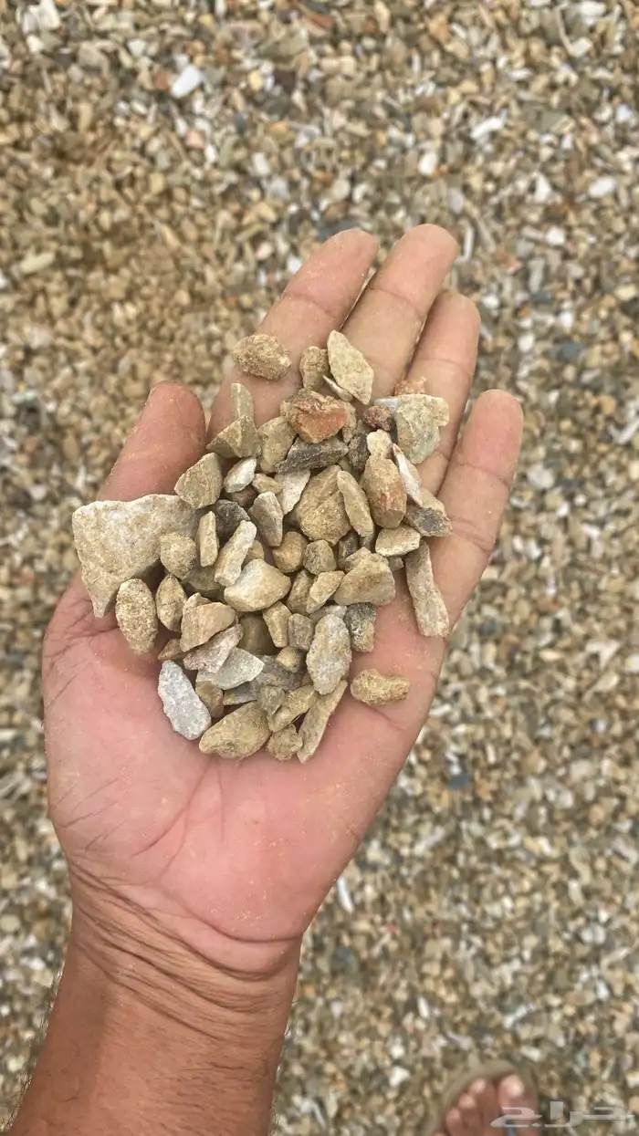 متخصون ف توريد المواد الانشائيه تريله شيول 18