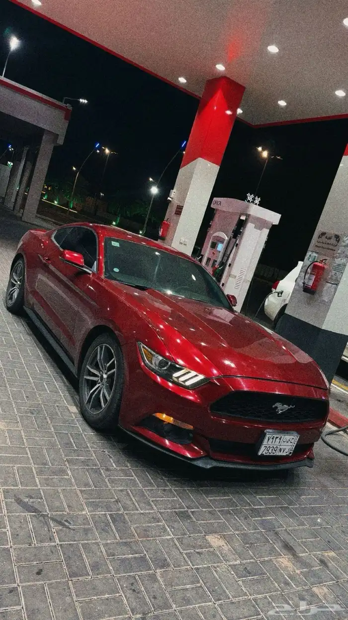 موستنق 2015 2