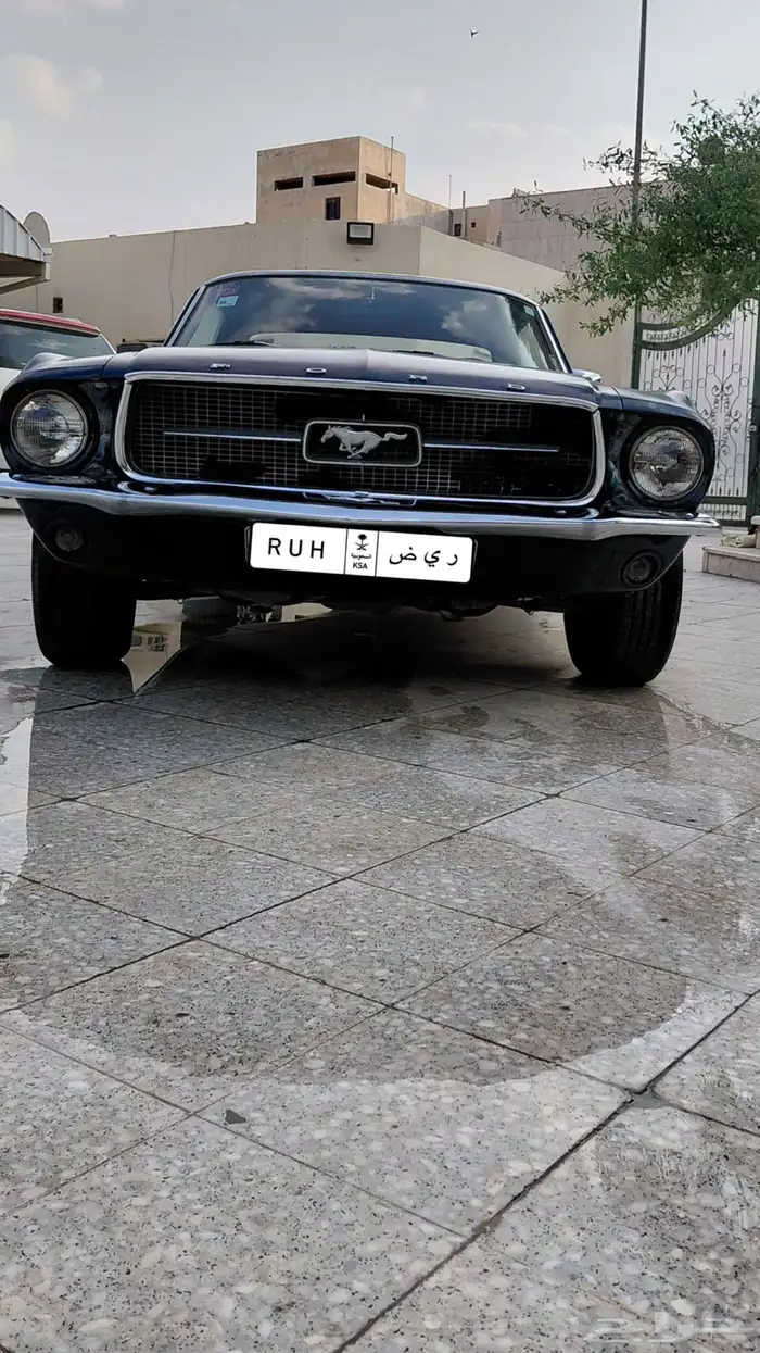 موستنج 1967 2
