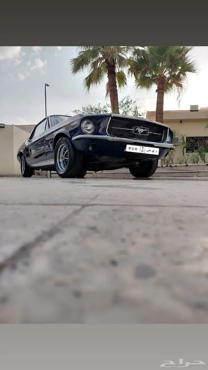 موستنج 1967 4