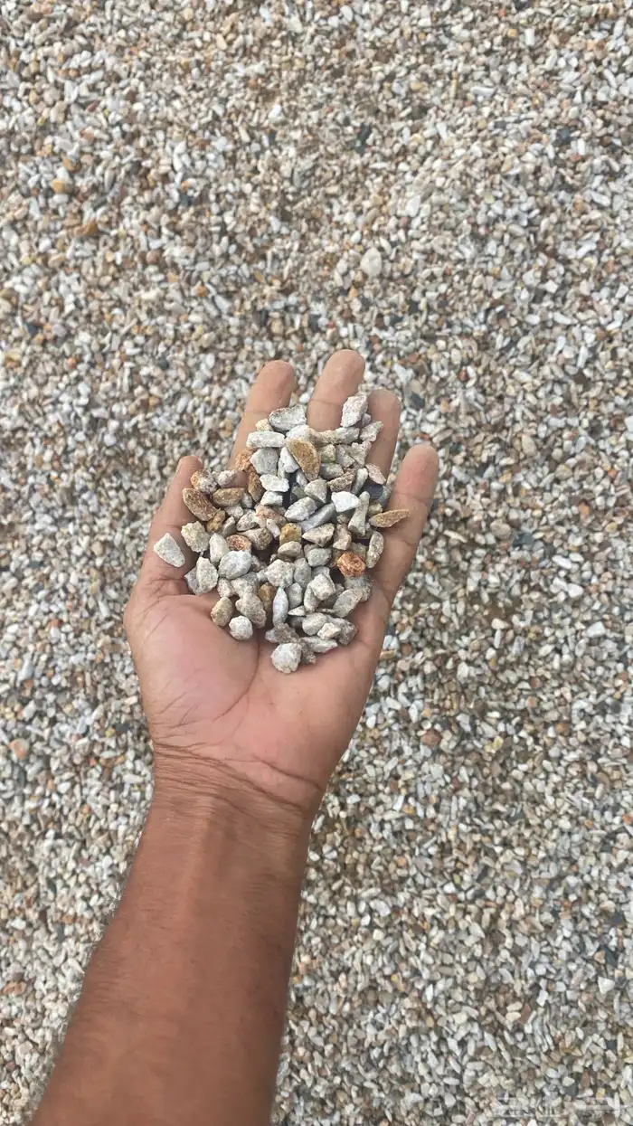 يوجد قلابات سكس بطحه صبيز. ابوعريش. مخطط القحمه ابوعريش 14