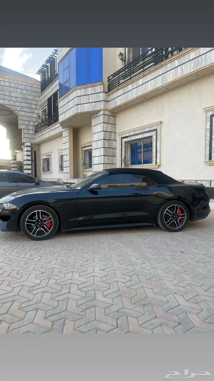 موستنج 2022 كوبيه كشف 3