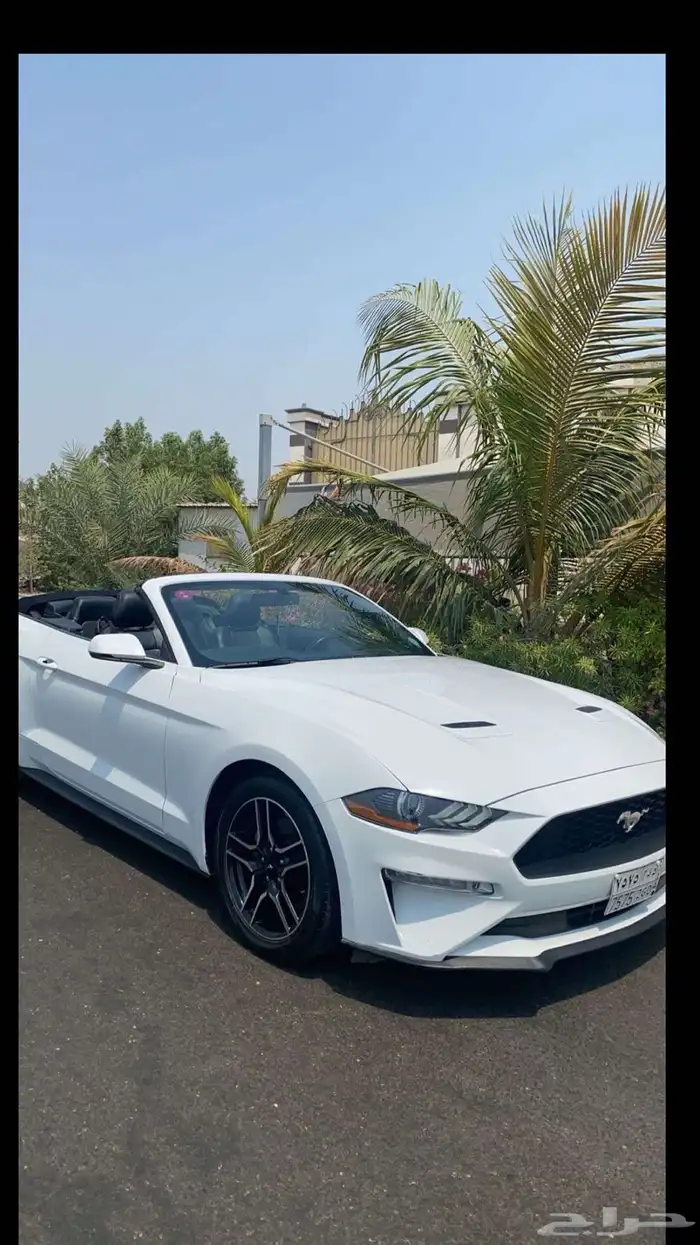 موستنج كشف 2018 0