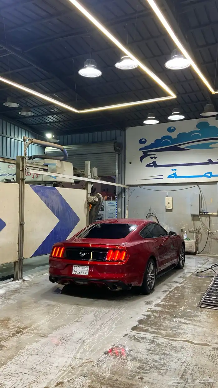 موستنق 2015 3