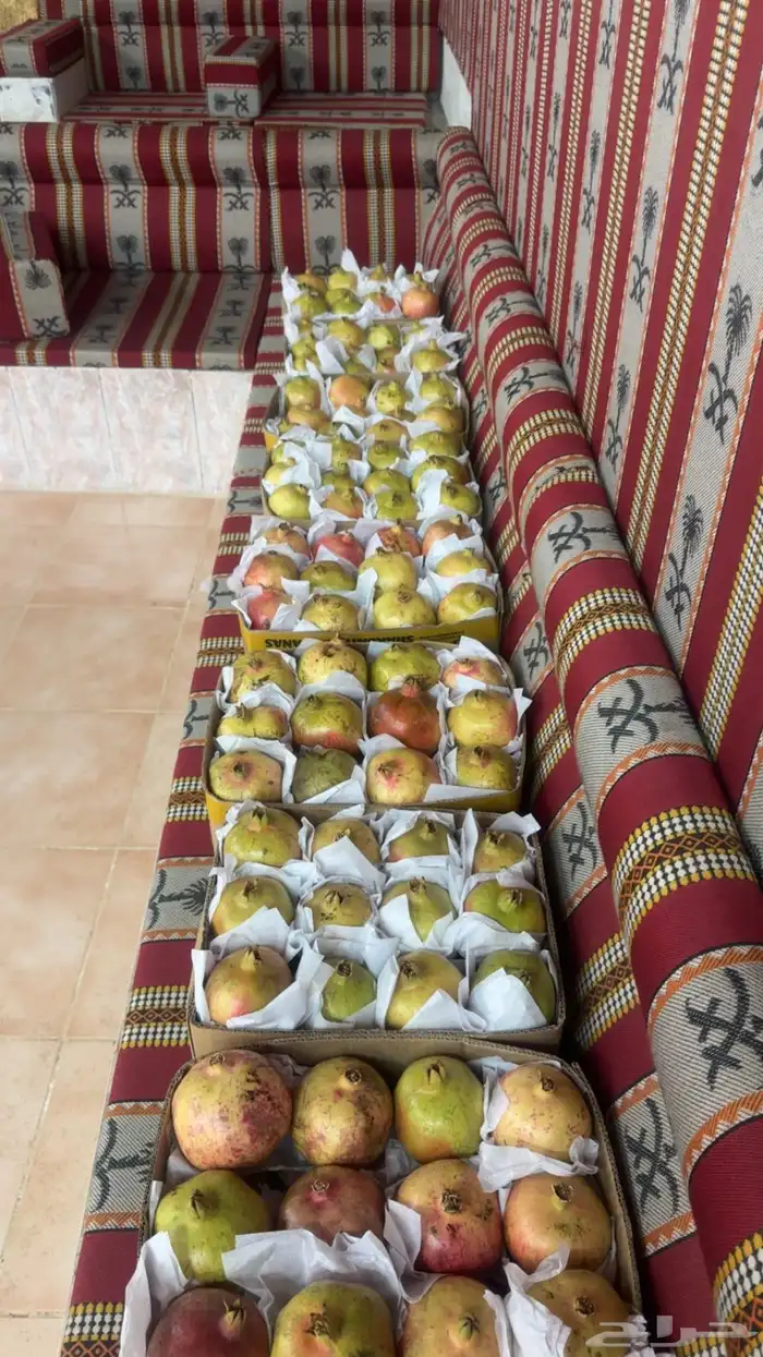 رمان جوف ال معمر 1