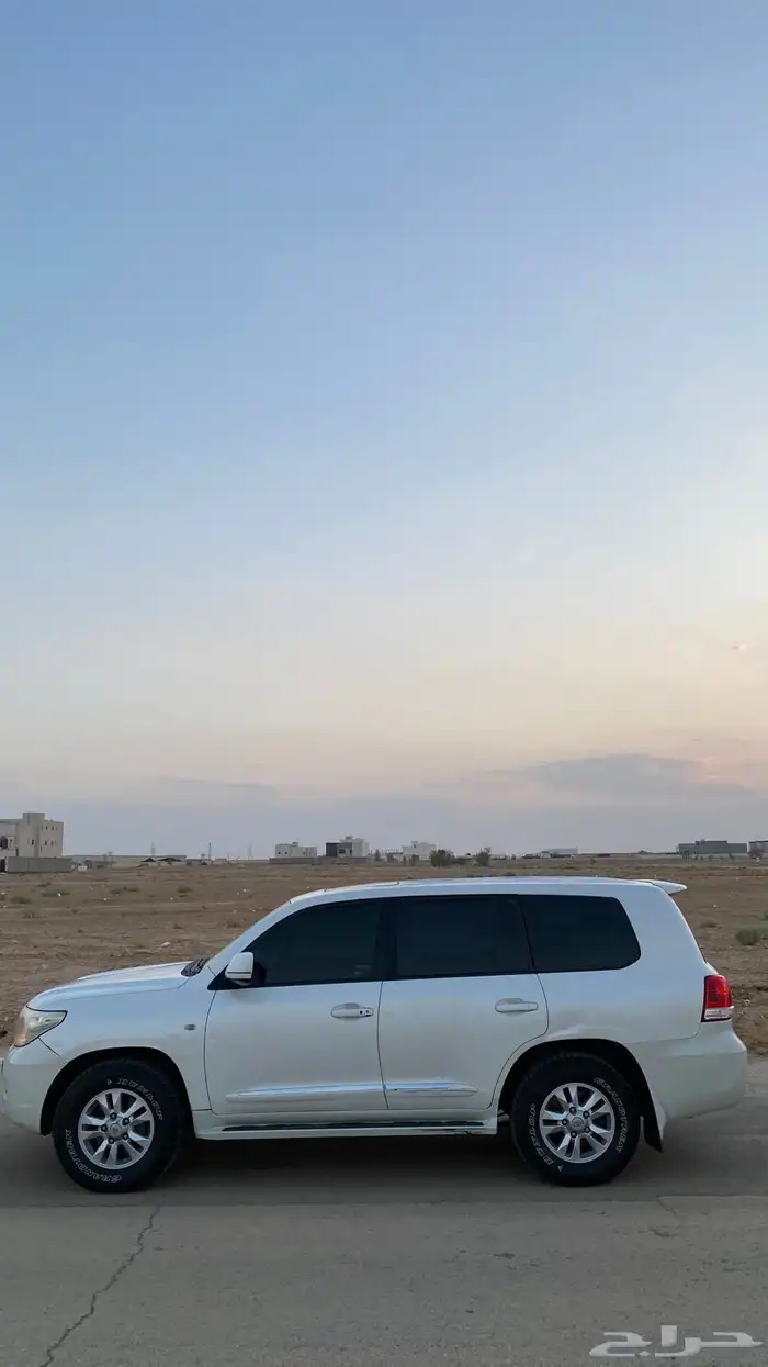 جكسار 2011 1
