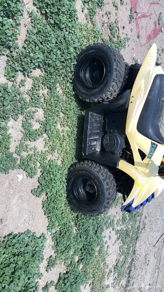 دباب كوبي نضيف 2