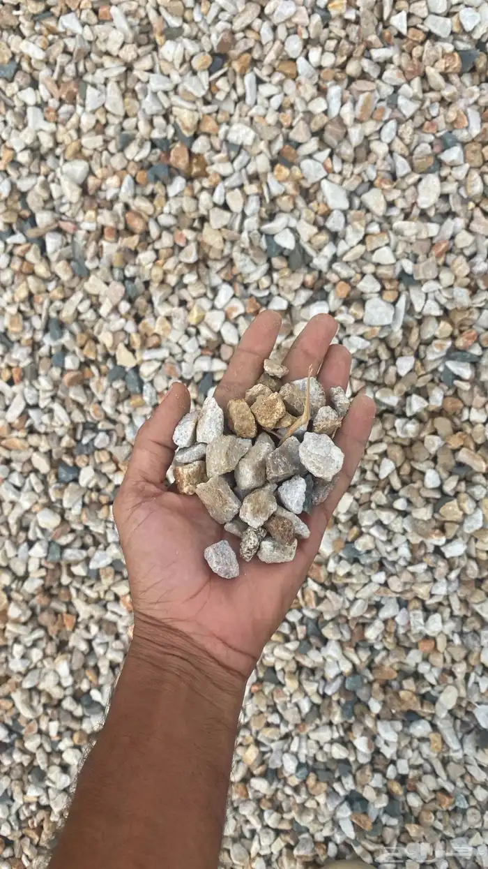 يوجد قلابات سكس بطحه صبيز. ابوعريش. مخطط القحمه ابوعريش 16