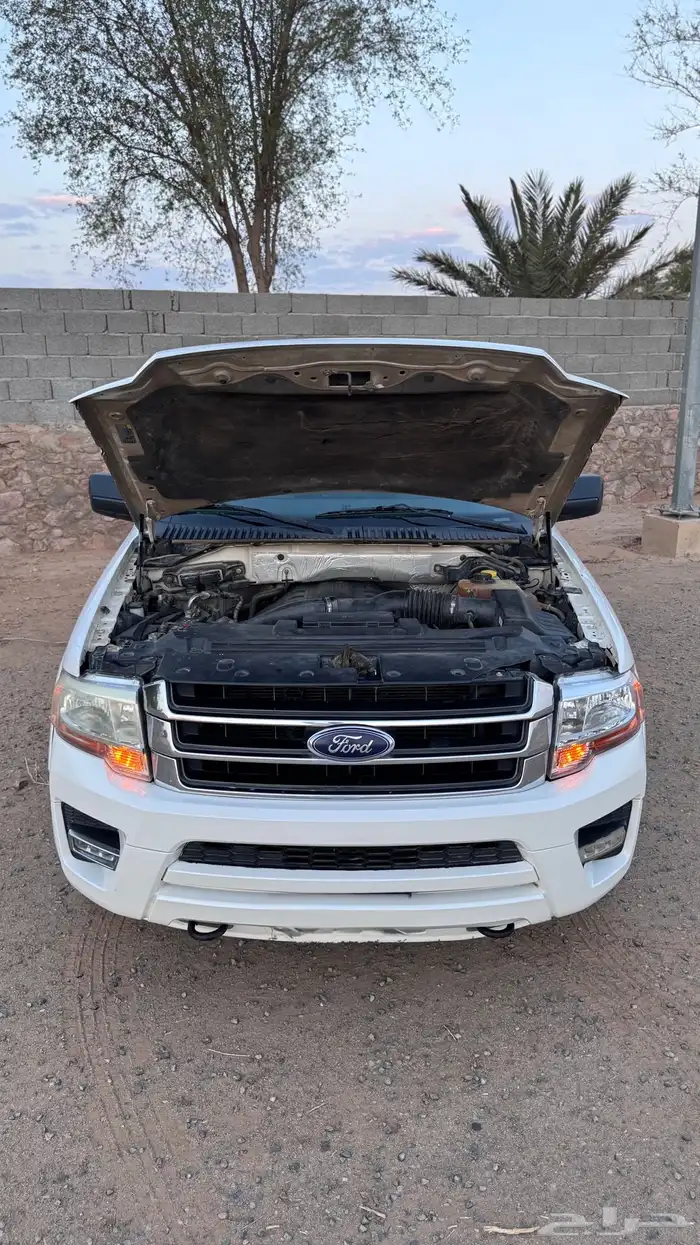 اكسبدشن 2016 ممشى قليل شبه مخزن 23