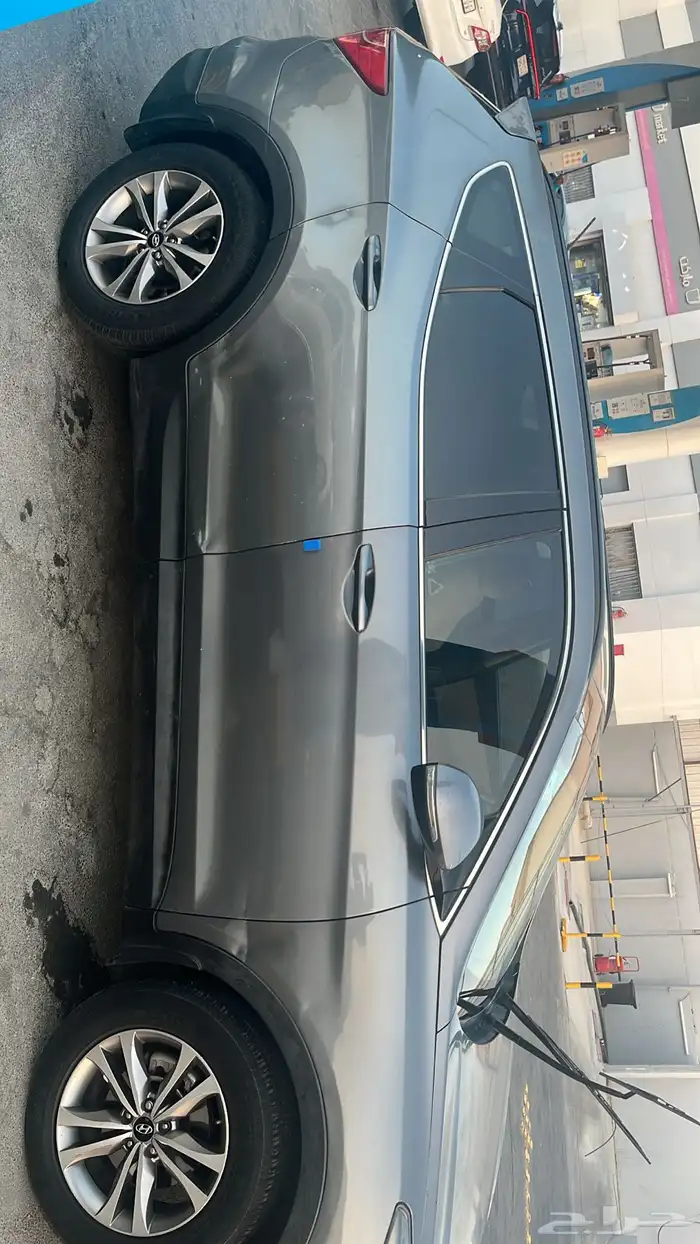 سنتافي 2016 1