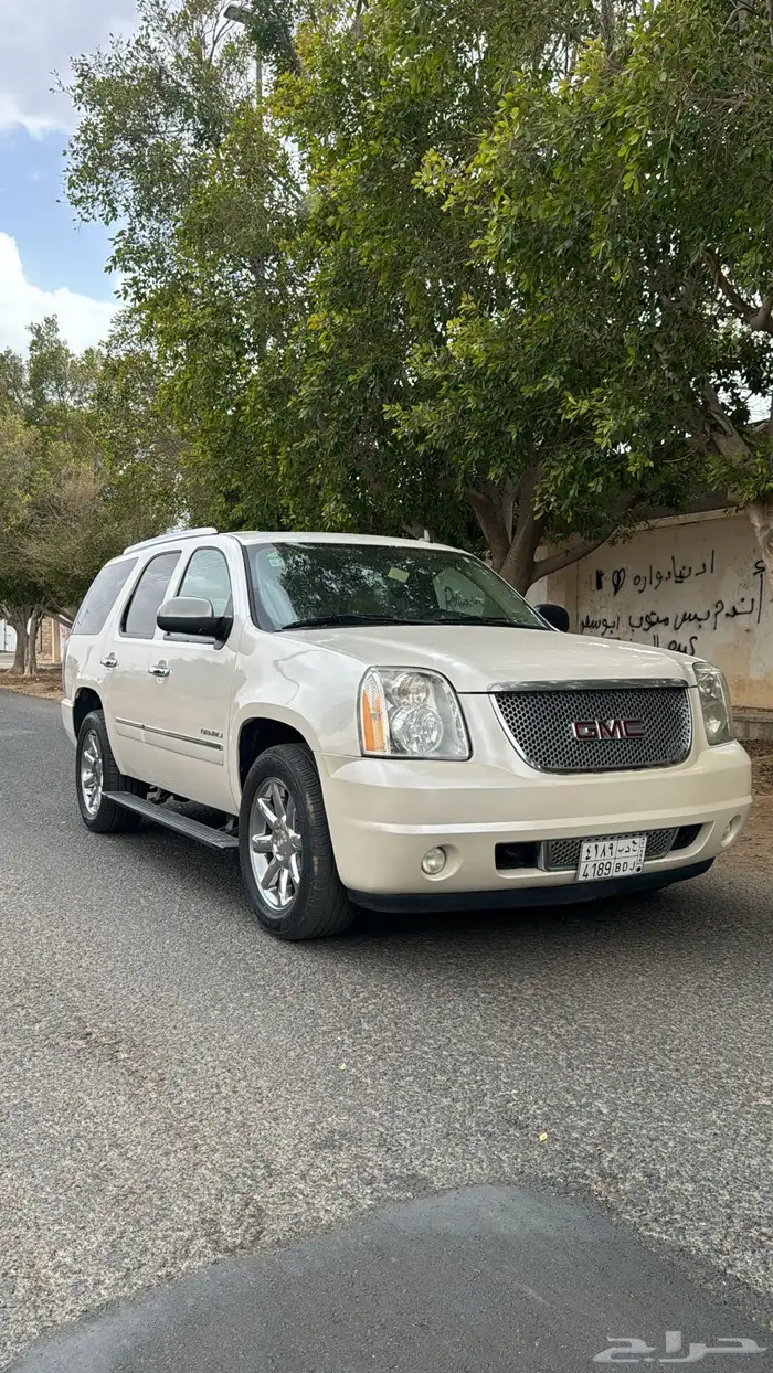 دينالي 2010 1
