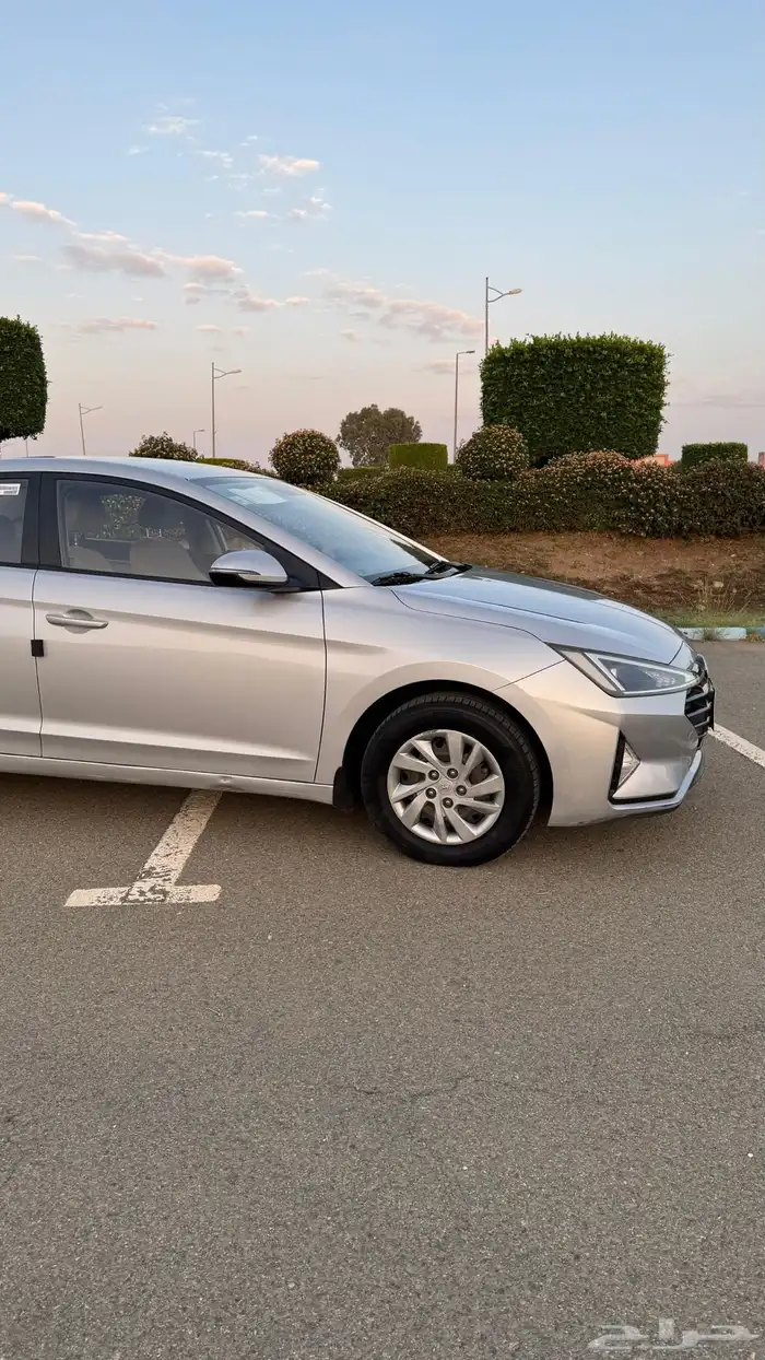 النترا 2019 3