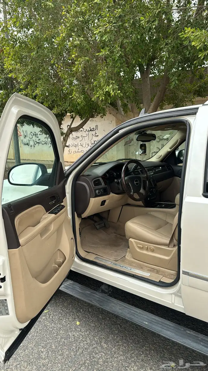 دينالي 2010 9