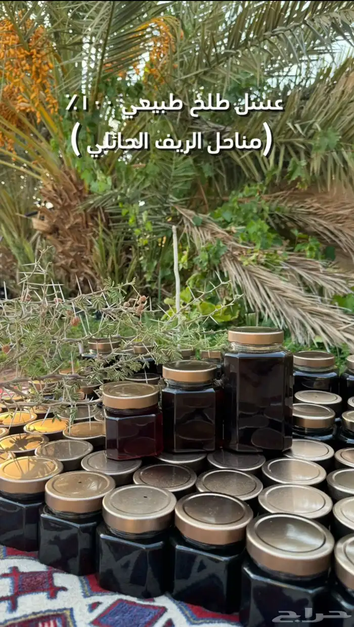 عسل طلح طبيعي انتاج جديد 0