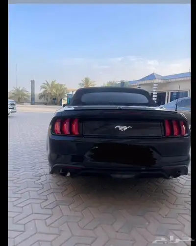 موستنج 2022 كوبيه كشف index