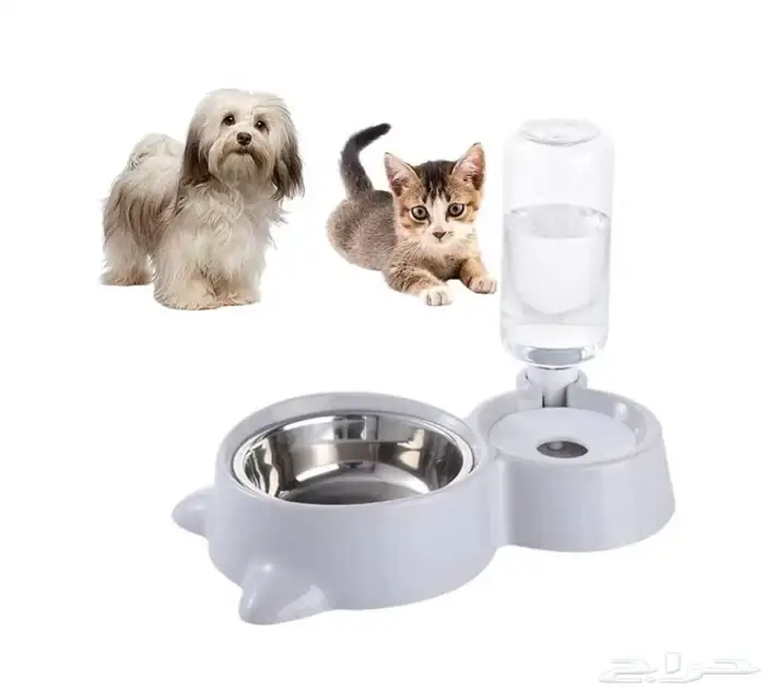 احتياجات القطط 3