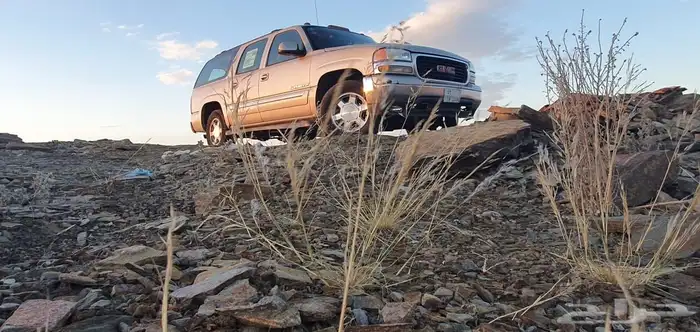 للبيع لوحة اعلي سوم 1