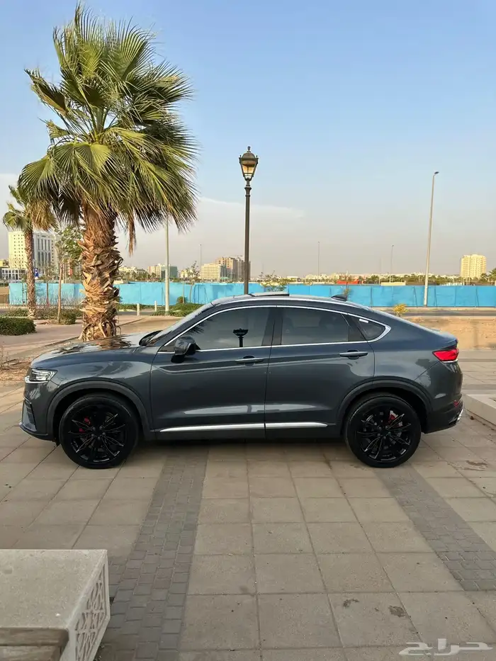 توجيلا 2022 28