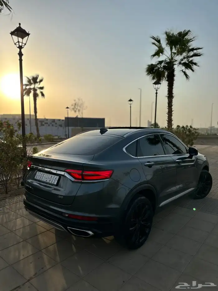 توجيلا 2022 9