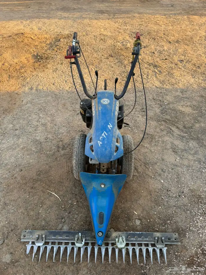 قصاصة برسيم 1